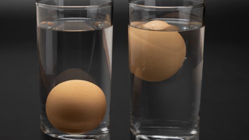 how to tell if eggs are bad