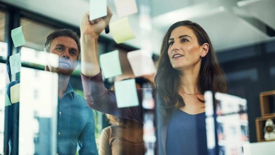 Create a Business Plan