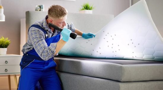 how to get rid of bed bugs