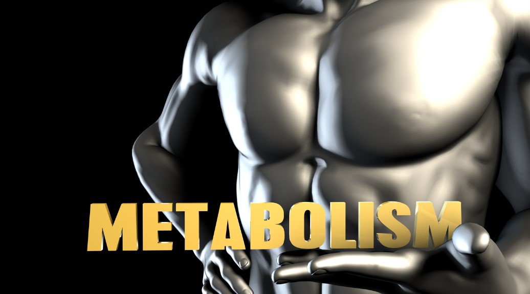 how to speed up metabolism